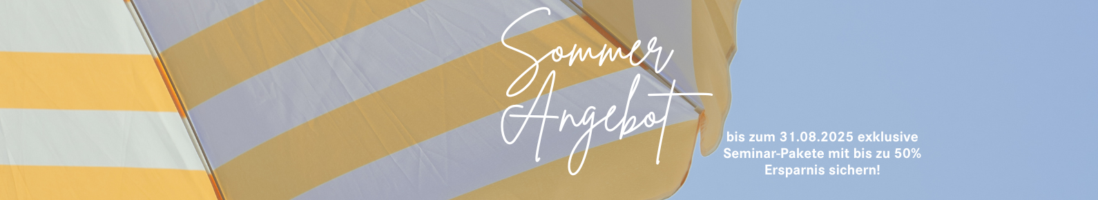 LP Banner Sommerangebot